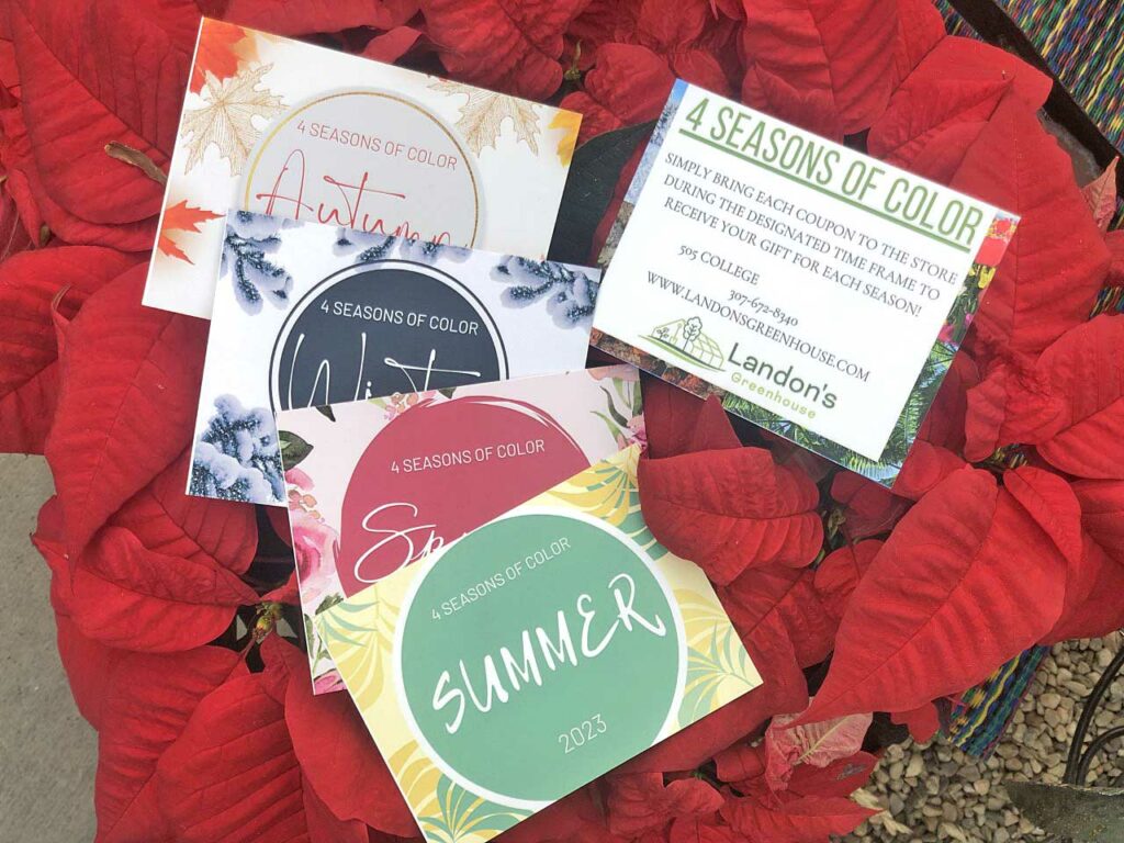4 seasons of color gift cards